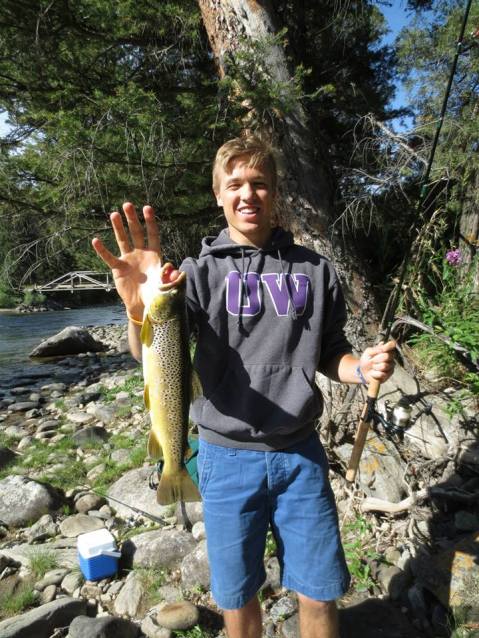 A nice brown trout caught on the Galatin River in Montana